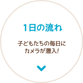 一日の流れ