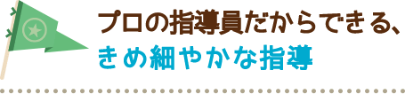 プロの指導員だからできる、 きめ細やかな指導 